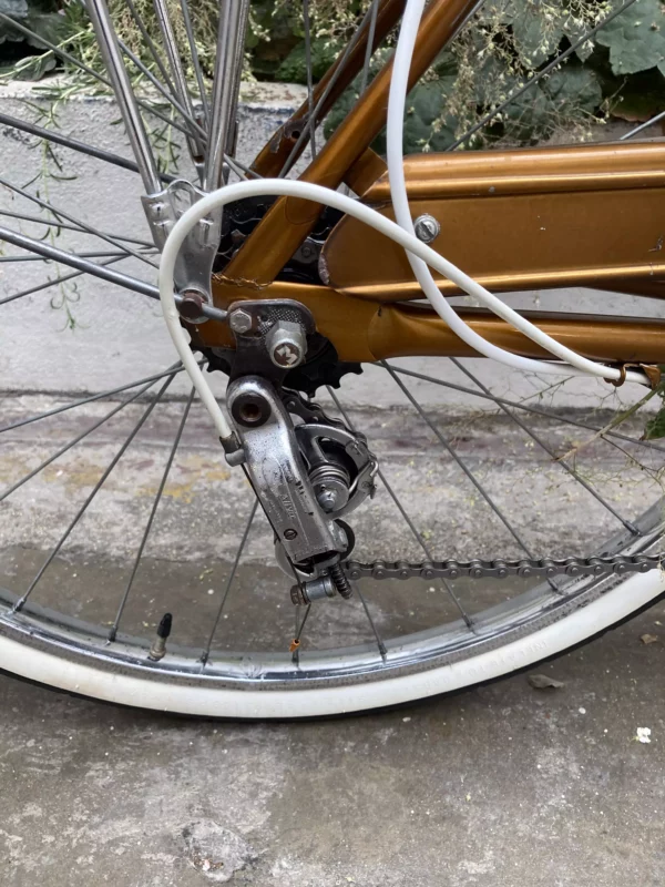 Bicyclette Motoconfort Progress GR Vélo en dépot-vente Les Mains Dans Le Guidon