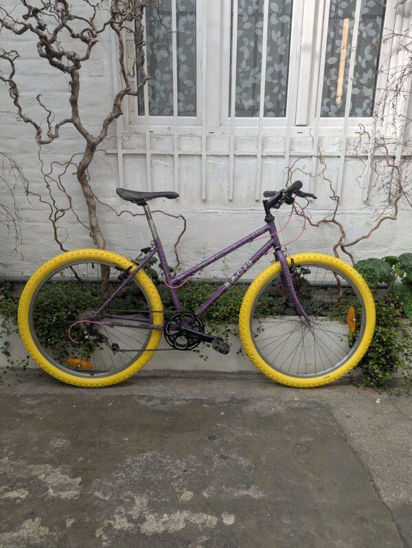 VTT Racer Mixte Vélo occasion Les Mains Dans Le Guidon