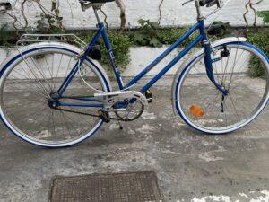 Favorit Ville mono-vitesse Vélo azuré Les Mains Dans Le Guidon
