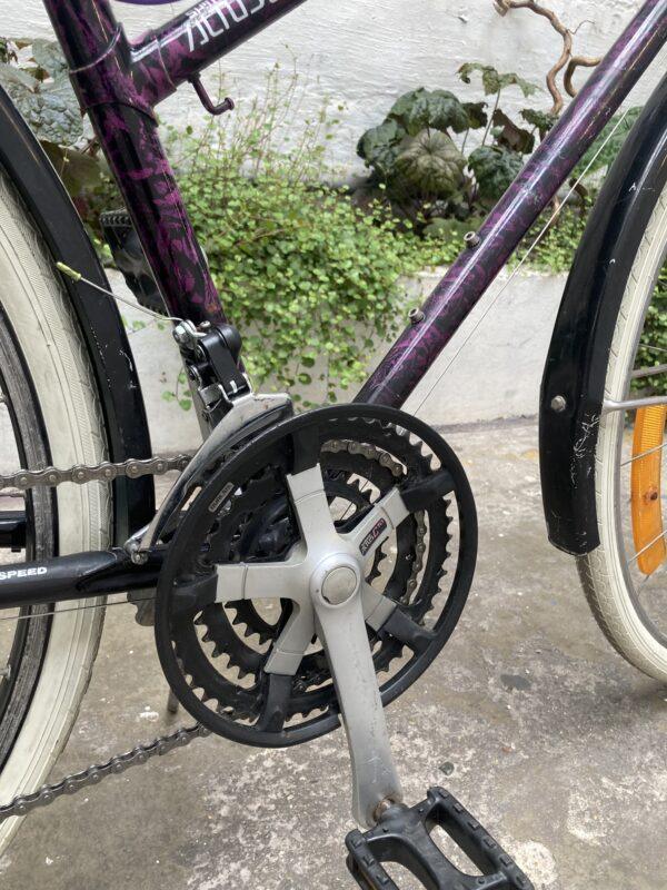 Minerva Multicross Vélo occasion Les Mains Dans Le Guidon