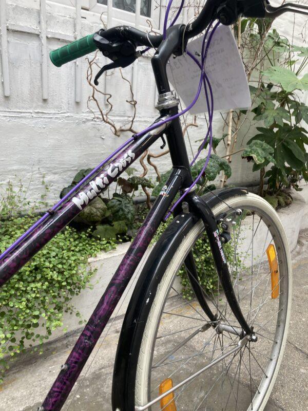 Minerva Multicross Vélo occasion Les Mains Dans Le Guidon