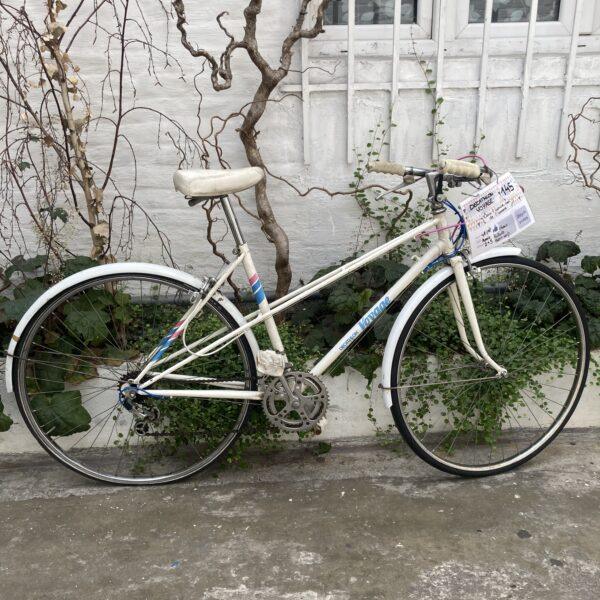Décathlon Voyage Vélo occasion Les Mains Dans Le Guidon
