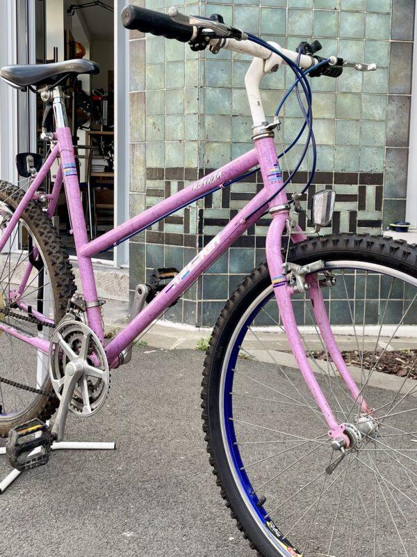 VTT Raleigh Nevada Vélo en dépot-vente Les Mains Dans Le Guidon