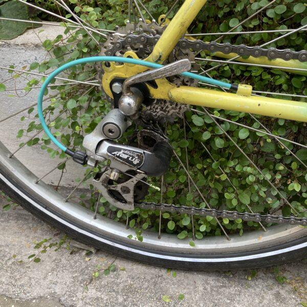 VTT Champion Vélo occasion Les Mains Dans Le Guidon