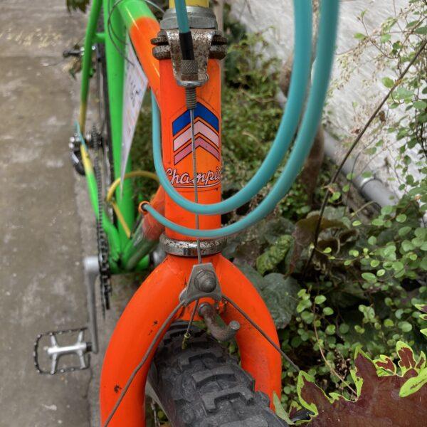 VTT Champion Vélo occasion Les Mains Dans Le Guidon