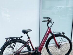 VAE Bottechia BE 17 Vélo Electrique e-bike Les Mains Dans Le Guidon
